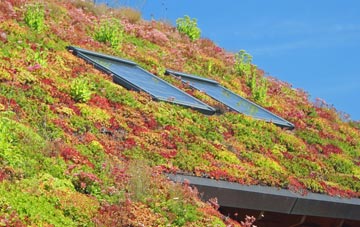 Chasty living roof systems